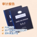 Audit Report