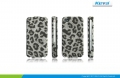 snow leopard