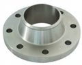 with welding neck flange