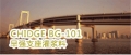 CHIDGE BGh-h101早强支坐灌浆料