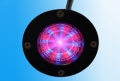 LEDϵ