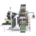 Onion Powder Packing Machine