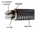 联锁铠装非金属护套合