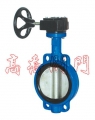 worm wheel butterfly valve