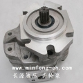 长源液压齿轮油泵 齿轮油泵 CBW CBN CBT CBH CBQ www.minfengh-hsh.com