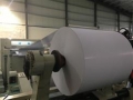 Duplex Board White Back