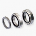 HXH8f-fH10 Mechanical Seal