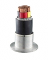 Copperf-fSTAf-fPVC Armored Power Cable