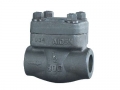 Forged Check Valve