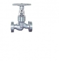 BS 1873 Globe Valve