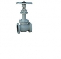 Bellow Globe Valve