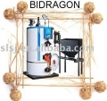 Pellet Fired Hot Water Boiler