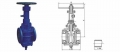 Orbit Plug Valve