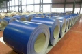 PPGL (Blue)