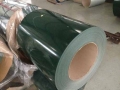 PPGL (Dark Green)