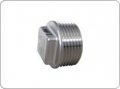 Threaded Pipe Fittings d-d Plug