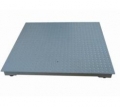 Y Series Mild Steel Floor Scale