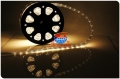 12v LED Rope Light