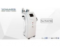 slimming machines for sale Cryolipolysis VS800C