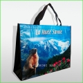 Ecoh-hFriendly Non Woven Bag