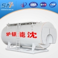 horizontal fire tube boiler WNS Horizontal Fireh-htube Internalh-hcombustion Gash-hfired Hot Water Boiler