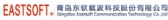东软载波 EASTSOFT LOGO