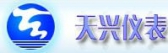 天兴仪表 TXYB LOGO