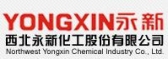 永新化工 YONGXIN LOGO
