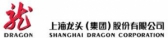 龙头股份 DRAGON LOGO