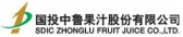 国投中鲁 SDICZL LOGO