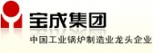 宝成集团 BAOCHENG LOGO