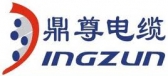 鼎尊电缆 DINGZUN LOGO