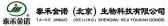 泰禾金诺 THJN LOGO