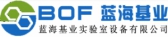 蓝海基业 LHJY LOGO