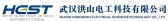洪山电工 HEST LOGO