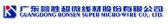 蓉胜超微 RONSEN LOGO