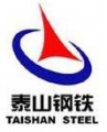泰山钢铁 TaishanSteel LOGO