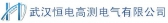 恒电高测 WHHDGC LOGO