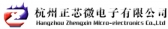 正芯微电子 CHIPTRUE LOGO