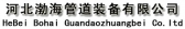 渤海管道装备 BHGDZB LOGO