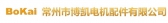 博凯电机配件 BOKAI LOGO