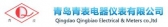 青岛青表 QDQINGBIAO LOGO