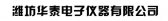 潍坊华泰电子 WFHTDZ LOGO