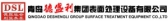 德盛利 DSL LOGO