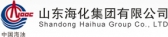海化集团 HAIHUA LOGO