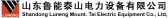 山东鲁能 LUNENG LOGO