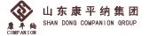 康平纳 COMPANION LOGO