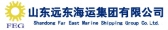 山东远东 FEG LOGO