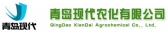 青岛现代 QINGDAOXIANDAI LOGO