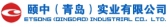 颐中实业 ETSONG LOGO